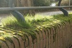 Muurtje of plantenbak?
              <br/>
              Marcel Westhoff, januari 2016